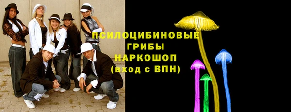 Альфа ПВП Алексеевка