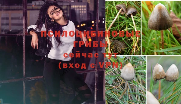 молекула духа Алексин