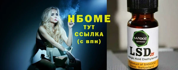 хмурый Алзамай
