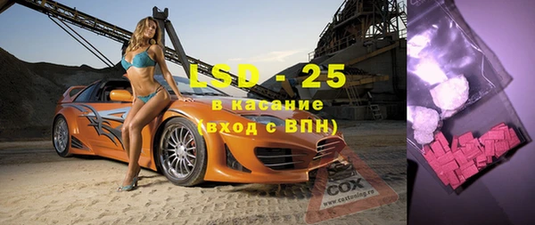 хмурый Алзамай