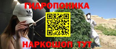 альфа пвп Аргун