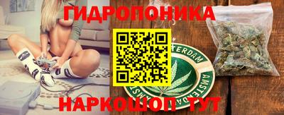крисы Татарск