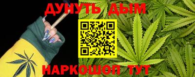 крисы Татарск