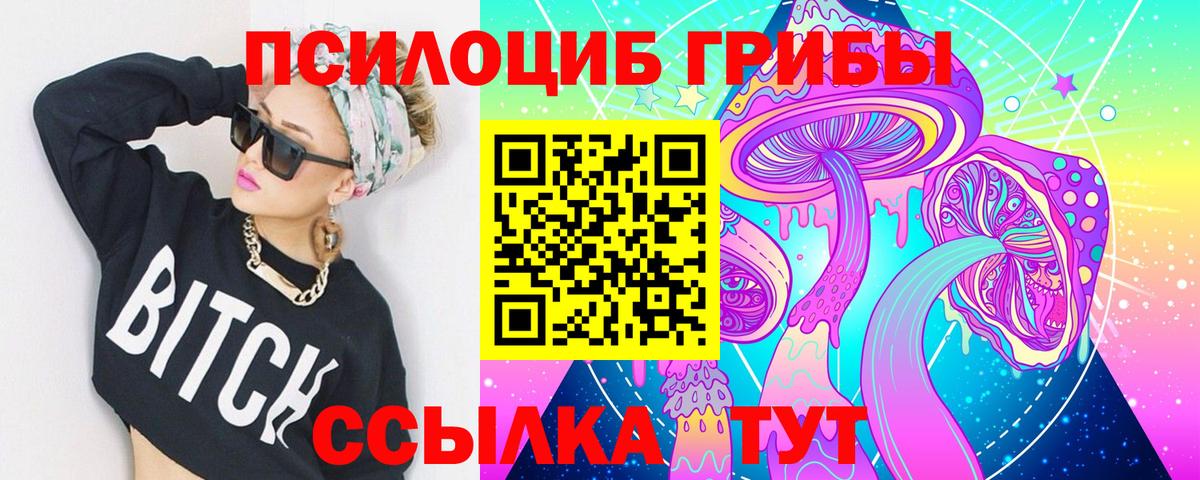 Галлюциногенные грибы GOLDEN TEACHER  Вход с VPN  Бердск  Галлюциногенные грибы мухоморы 