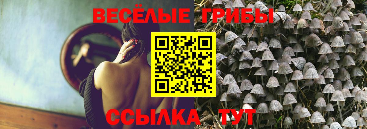 Галлюциногенные грибы Cubensis  Вход с VPN  Псилоцибиновые грибы Psilocybe  Бердск 